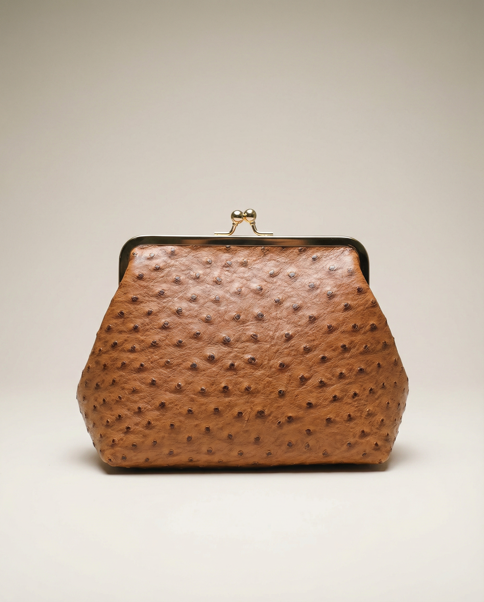 Metal Lock & Kiss Clutch in Brown